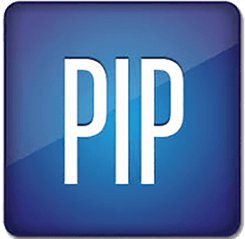 PIPESIM